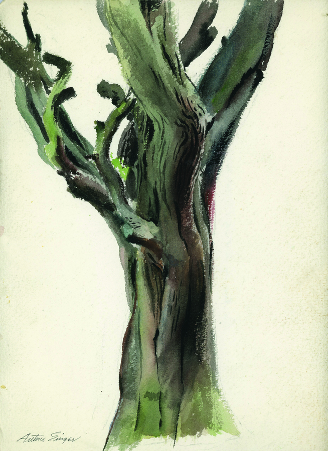 watercolor painting of an oak tree trunk
