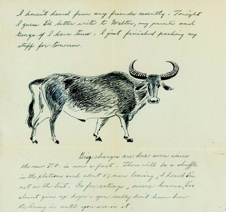 ink sketch of a water buffalo