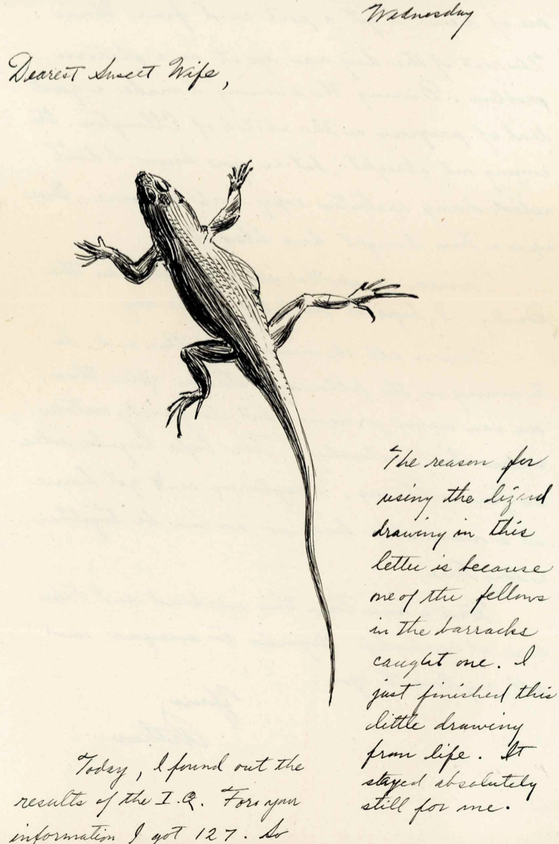 ink sketch of a lizard